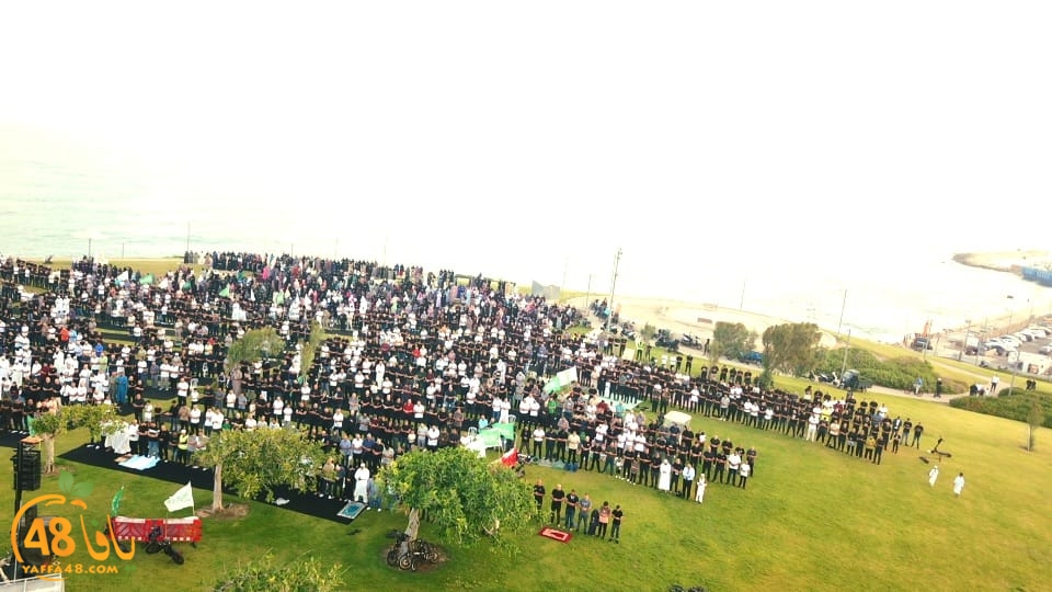 WhatsApp Image 2023-06-28 at 11.33.50 AM (1).jpeg